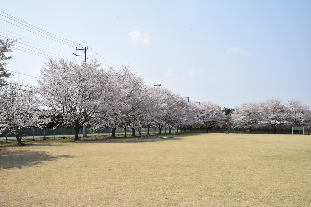 戸沢公園に関するページ